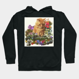 "and Alan was indeed a very, very large cat." Hoodie